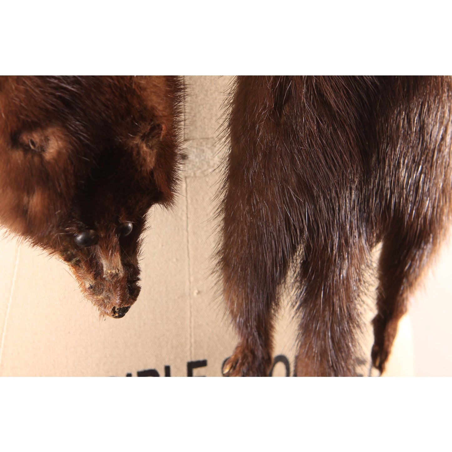 1950s Dark Brown Three Piece Mink Pelt Fur Shawl Wrap by Polar Crown Furs McDaniels