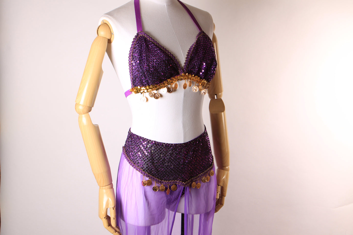 1980s 1990s Purple & Gold Metal Coin Bikini Top with Matching Sheer Sequin Genie Belly Dancer Two Piece Lingerie Costume by Secret Treasures