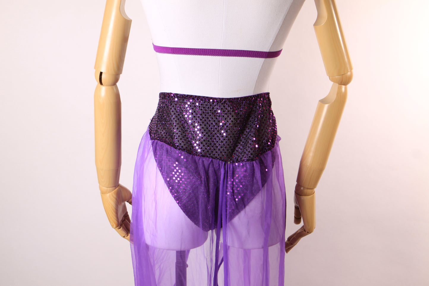 1980s 1990s Purple & Gold Metal Coin Bikini Top with Matching Sheer Sequin Genie Belly Dancer Two Piece Lingerie Costume by Secret Treasures