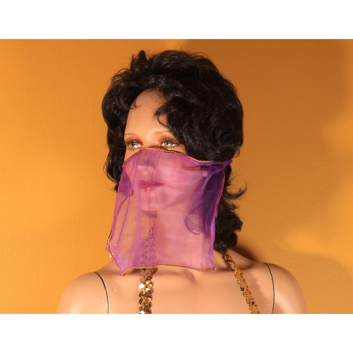 Y2K 2000s Purple and Gold Faux Coin Bikini Top with Matching Pants, Band and Face Veil Genie Costume by Fredericks of Hollywood -L