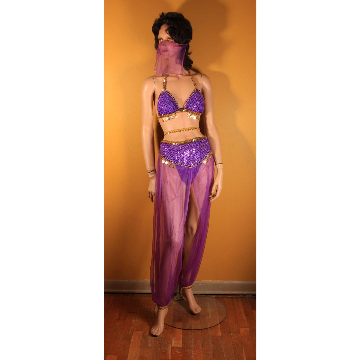Y2K 2000s Purple and Gold Faux Coin Bikini Top with Matching Pants, Band and Face Veil Genie Costume by Fredericks of Hollywood -L