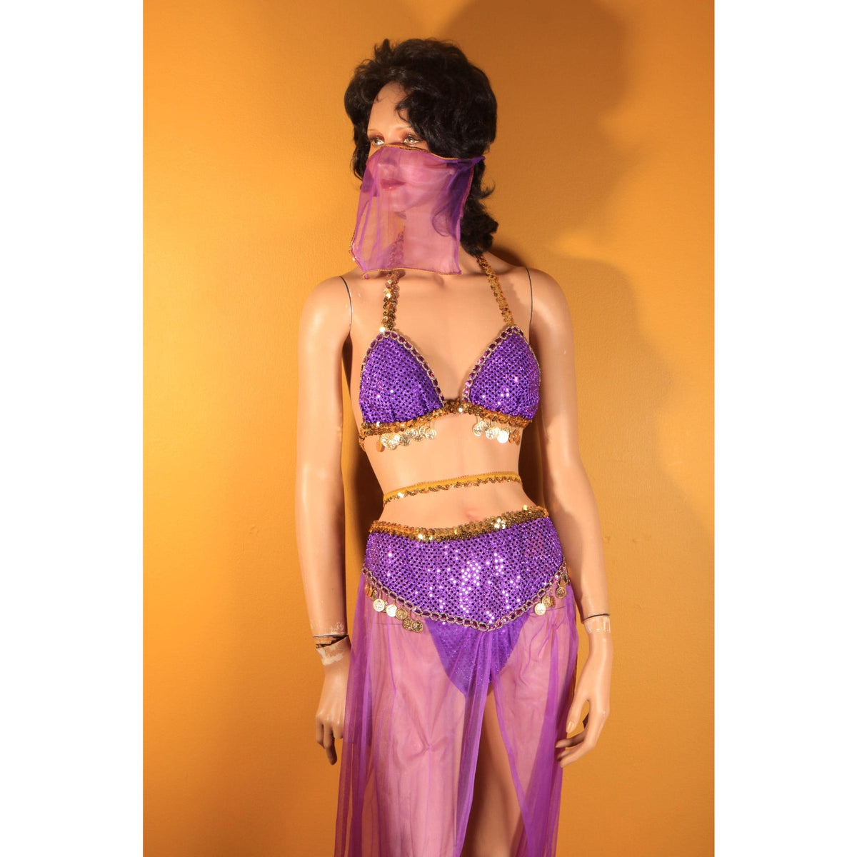 Y2K 2000s Purple and Gold Faux Coin Bikini Top with Matching Pants, Band and Face Veil Genie Costume by Fredericks of Hollywood -L