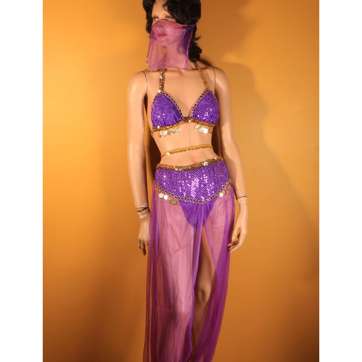 Y2K 2000s Purple and Gold Faux Coin Bikini Top with Matching Pants, Band and Face Veil Genie Costume by Fredericks of Hollywood -L