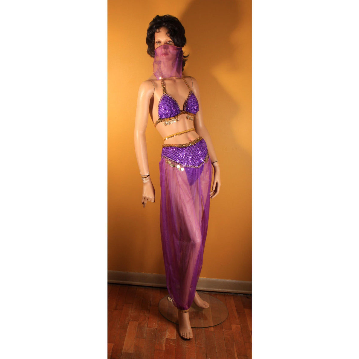 Y2K 2000s Purple and Gold Faux Coin Bikini Top with Matching Pants, Band and Face Veil Genie Costume by Fredericks of Hollywood -L