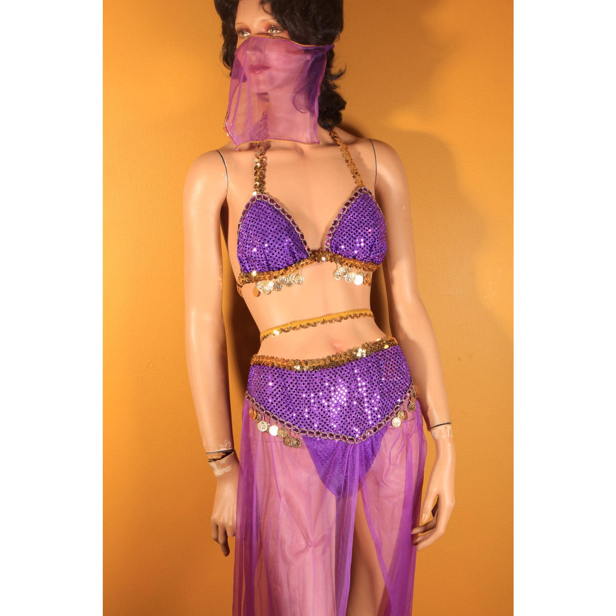 Y2K 2000s Purple and Gold Faux Coin Bikini Top with Matching Pants, Band and Face Veil Genie Costume by Fredericks of Hollywood -L
